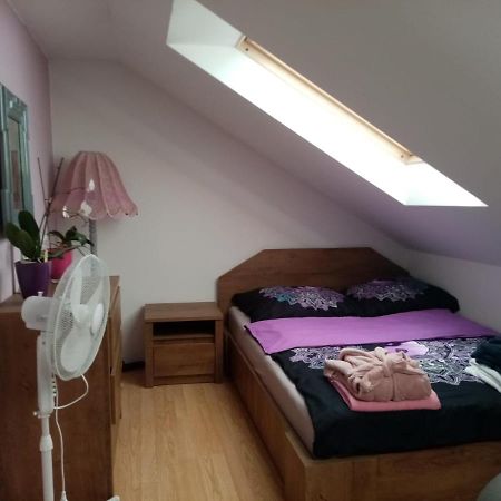 Podkrovni Apartman Tereza Rumburk Exterior foto