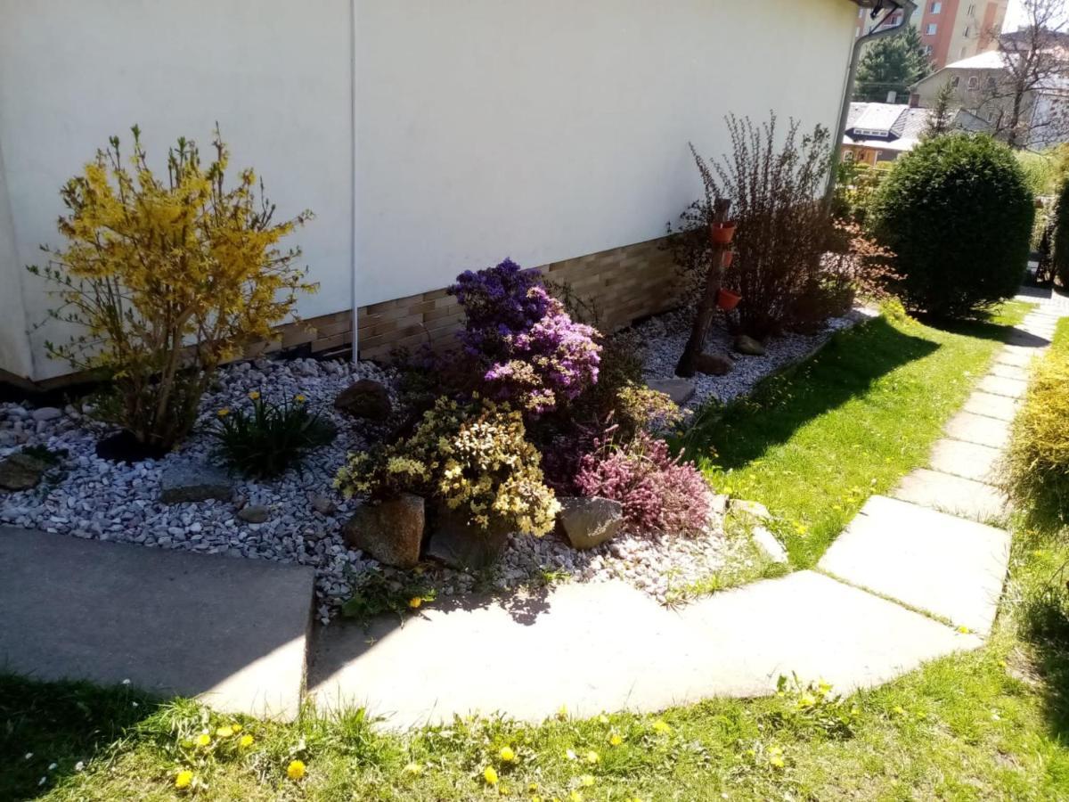 Podkrovni Apartman Tereza Rumburk Exterior foto